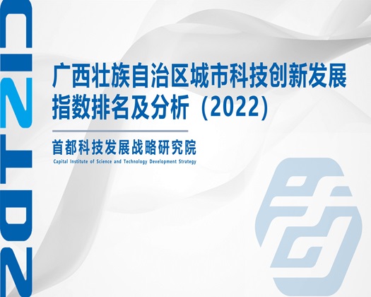 大奶子毛逼插逼视频【成果发布】广西壮族自治区城市科技创新发展指数排名及分析（2022）